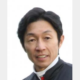 武豊