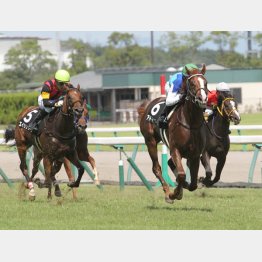 アドマイヤーズはデビュー2戦目も7頭立てだった