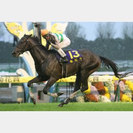 菊花賞以来の勝利を
