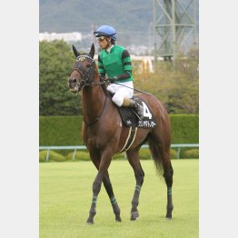 和田とのコンビで3勝