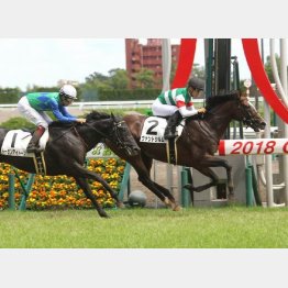 2走前に五百万V