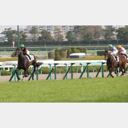 新馬戦はレコードの0秒4差の好タイム勝ち