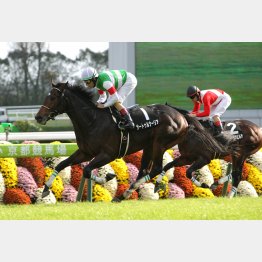 萩Sも大楽勝だった