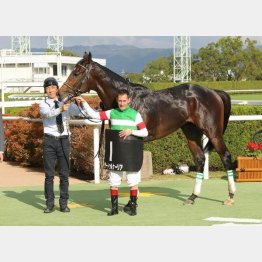 新馬、萩Sを連勝