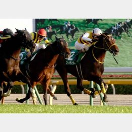 東スポ杯2歳Sは価値あり
