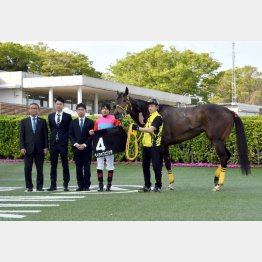 中山千二の春雷S勝ち