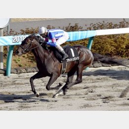 韓国馬事会杯を差し切り