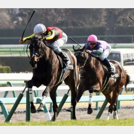 水仙賞を快勝