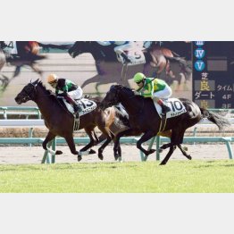 好内容で新馬勝ち
