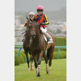 今年もカナロア牝馬だ