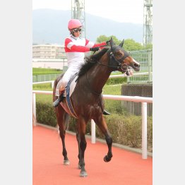 広いコースで見直す