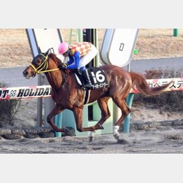 師走Sを楽勝