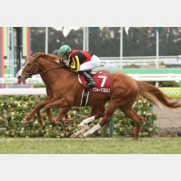 昨年はパフォーマプロミスが重賞初制覇