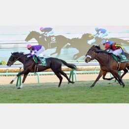 昨年の①②着馬は皐月賞、ダービーで③着