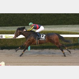 妙見山特別は勝ち時計も文句なし
