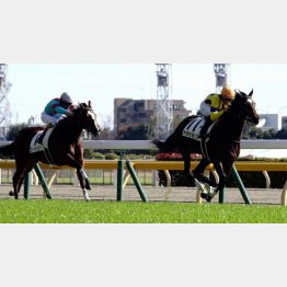 余裕十分に新馬勝ち