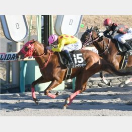 これがマーフィーの日本での初勝利