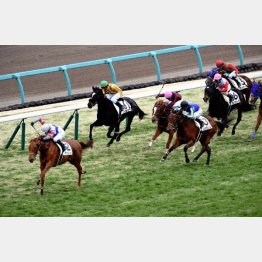 この舞台で未勝利勝ち