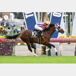 六社Sで3連勝
