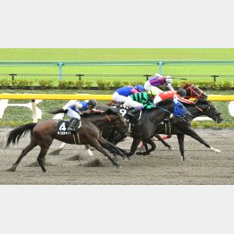 清里特別では逃げてしぶとい粘りを見せた(最内)