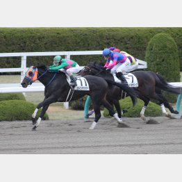 前走は勝ち時計も優秀
