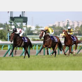 昨年は宝塚記念で③着(右)