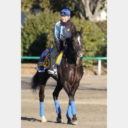 グローリーヴェイズ