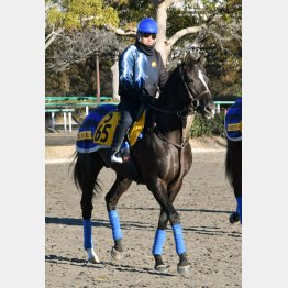 有馬記念馬ブラストワンピースと力は同等!?