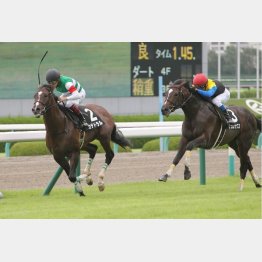 新馬から2連勝