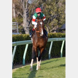 馬場が合うレノヴァール