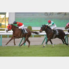 タンザナイトSを完勝