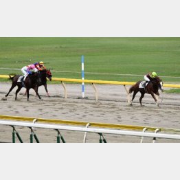 ダートの前々走は②着いかに3馬身半差をつける圧勝
