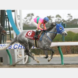 昨年はテイエムジンソクが逃げ切り