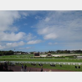 競馬場にて