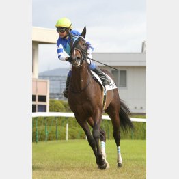 京都二千で未勝利V