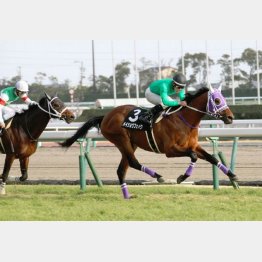 冬場に五百万、一千万を連勝