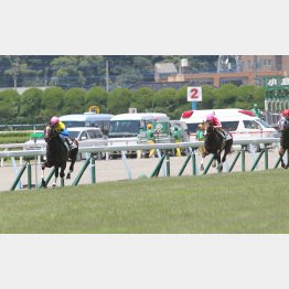 新馬戦は1秒3の大差勝ち
