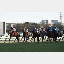 3年前のこのレースで③着の実績もある