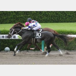 オークランドRCTを勝ってオープン入り