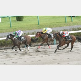 昨年9月のラジオ日本賞で②着(右)