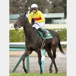 カペラSで重賞初制覇