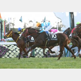 淀短距離Sを差し切り勝ち