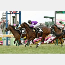 ジュニアCは首差②着