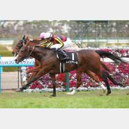 蛍池特別では前が残り流れを一気に差し切り
