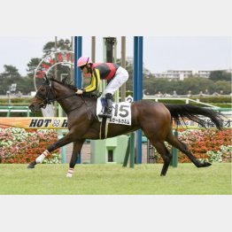 新馬戦は加速ラップを突き抜けた