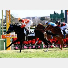 新馬以来の勝利を