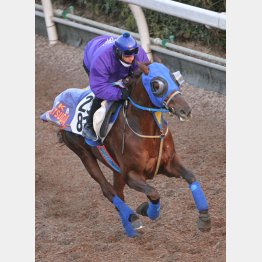 今週はルメールを背に1F12秒9