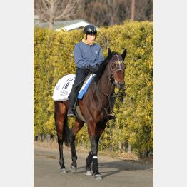4歳になり体質も強化