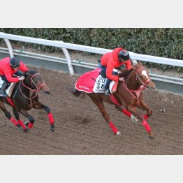 木曜坂路は馬なりで51秒7の好時計