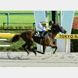 東京千四で麦秋S勝ちのユラノト